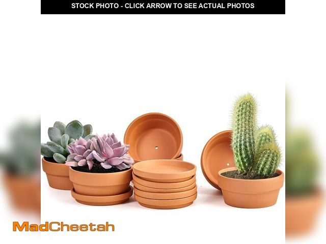 Lot 74-14152956 - Small Shallow Terracotta Pot for Succulent - 6 Pcs Clay Planter Pots with Drainage Hole and Saucer, ...
