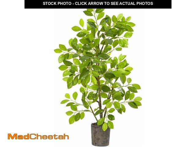 Lot 74-13382457 - Nearly Natural 3ft. Ficus Artificial Tree in Planter - UNUSED