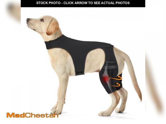 Lot 74-12311452 - Pawfun Dog Knee Brace for Torn ACL Hind Leg Ã¢â¬â Adjustable Dog Leg Braces for Both Back Legs wi...