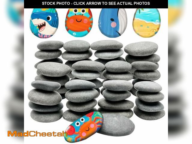 Lot 74-14152201 - ReePlan 50PCS Rocks for Painting, 2-3 Inches Natural Smooth River Rocks for Painting, Flat Stones fo...