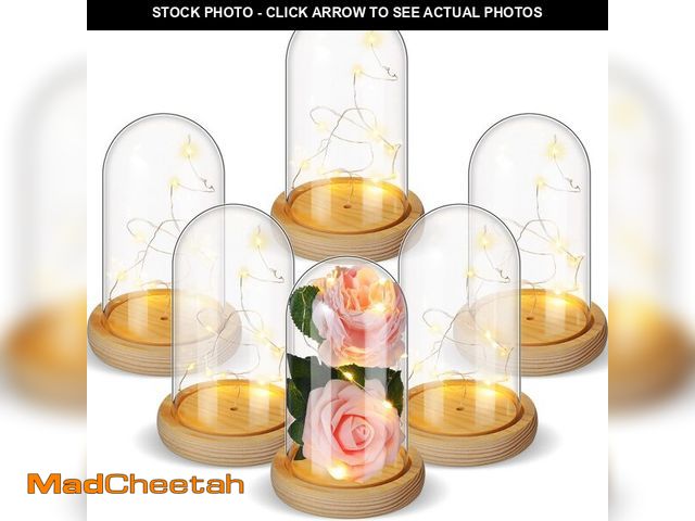Lot 74-13573932 - Remerry 6 Pcs Plastic Cloche Dome with Base and LED Fairy Light 6.5 x 3.7 Inch Plastic Dome Display ...