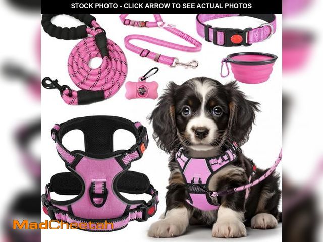 Lot 74-12328685 - LOBEVE No Pull Dog Harness, Collar &amp; Leash Set | Includes Dog Seat Belt, Collapsible Bowls &amp;...