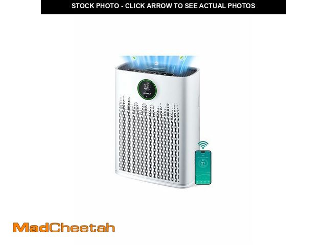 Lot 74-13584562 - ECOSELF Smart Air Purifier for Home Large Rooms, with WiFi Control, Covers Up to 2400 FtÃÂ², Smart ...