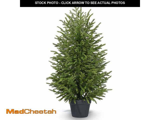 Lot 74-14044360 - 3ftArtificial Topiary Trees for Outdoor Front Porch DÃÂ©cor, Real Touch Norfolk Pine Tree, UV Rated...