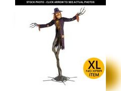 Lot 74-12773384 - undefined