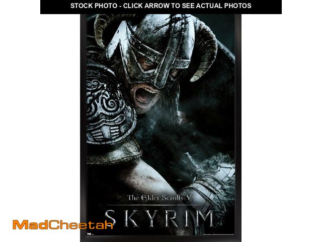 Lot 74-12574089 - Trends International Elder Scrolls Skyrim Aerial Mounted Poster 22.375" x 34" - UNUSED
