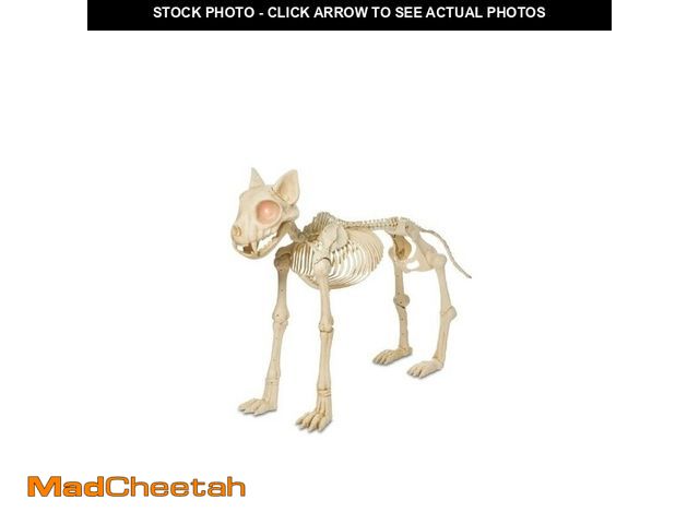 Lot 74-12857844 - Dept. 18 White Animated Plastic Skeleton Cat, 5ft Halloween Decoration Fast Ship - USED