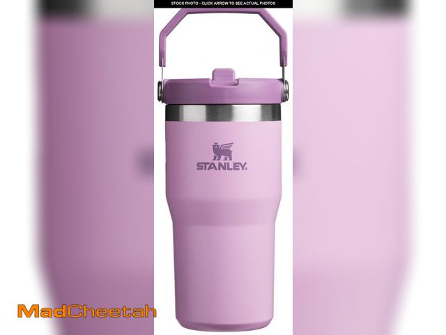 Lot 74-12313266 - Stanley IceFlow Flip Straw Tumbler with Handle 20 oz | Twist On Lid and Flip Up Straw | Leak Resista...