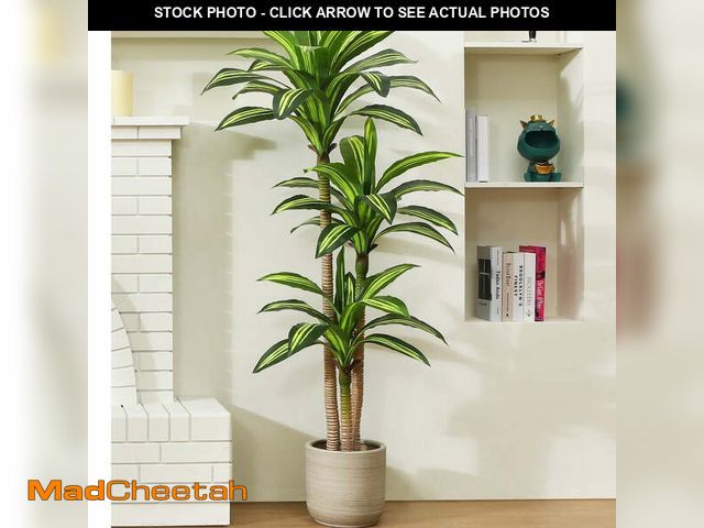 Lot 74-14603353 - DR.Planzen Artificial Plants, 5ft Fake Dracaena Tree in Black Plastic Pot, Faux Plants Indoor Outdoo...