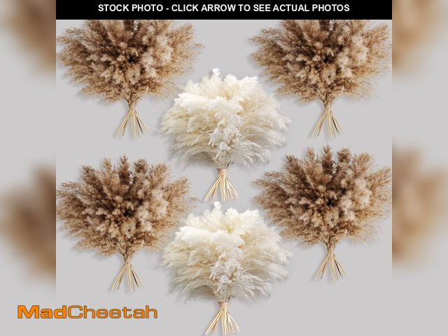 Lot 74-12708692 - 60 PCS Boho Decor, Fluffy Pompas Grass, Natural Dry Pampas Grass Small, Short Pampass Bulk for Boho ...