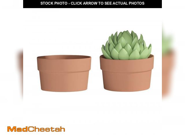 Lot 74-11549757 - Fcacti 10 Inch Terracotta Shallow Succulent Pot - 2 Pack Large Terra Cotta Clay Pots with Drainage, ...