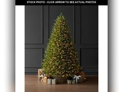 Lot 74-12826391 - undefined