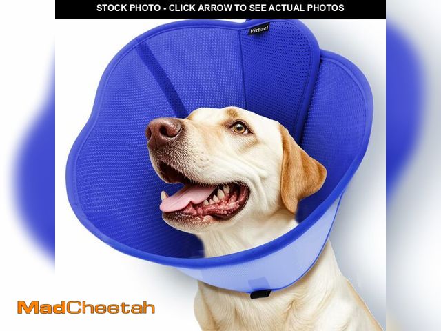 Lot 74-14273864 - Vithael Upgraded Dog Cone Collar for Large Medium Dogs, Soft Dog Cone with Double-Layer Design, Adju...