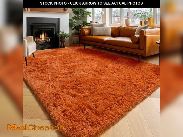 Lot 74-13583690 - Amdrebio Burnt Orange Area Rugs for Living Room Bedroom, 6x9 Shaggy Furry Fuzzy Fluffy Rug for Kids ...