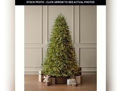 Lot 74-12772264 - undefined