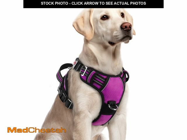 Lot 74-14271609 - rabbitgoo Dog Harness for Large Dogs, 3 Buckles Easy On &amp; Off No Pull Pet Vest, Soft Padded Walk...