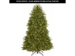 Lot 74-13419054 - undefined