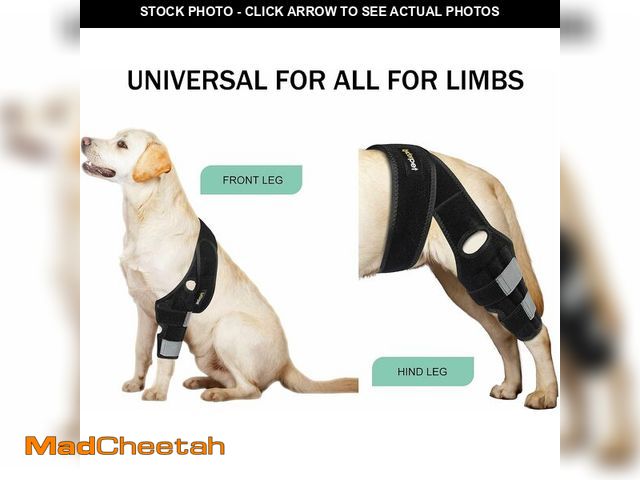 Lot 74-14150016 - Lyderpet Dog ACL Knee Brace for Torn Hind Leg, Rear Leg Braces for Dogs Luxating Patella, Flexible a...