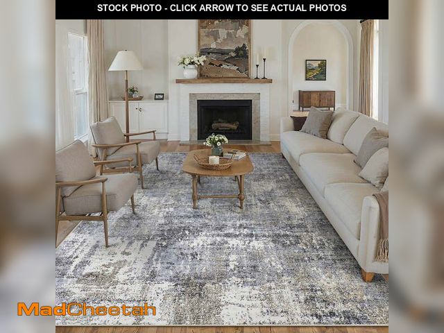 Lot 74-12985784 - BERTHMEER 9'x12' Large Modern Abstract Area Rugs for Living Room Bedroom Farmhouse Office non-slip M...