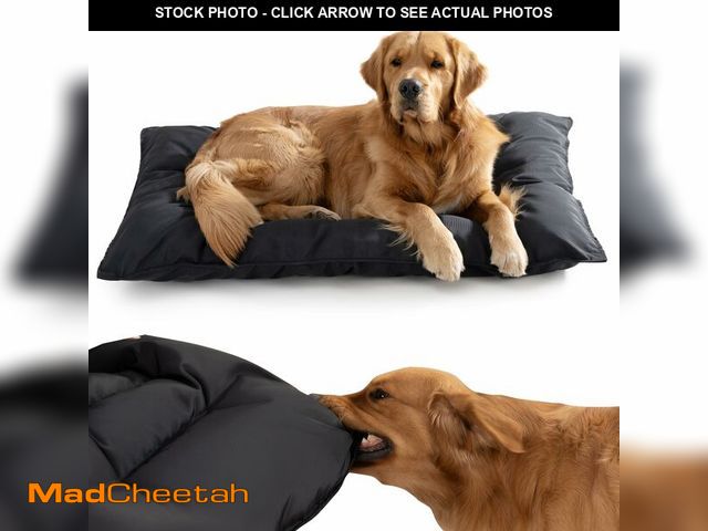 Lot 74-12718996 - WooPetty Chew Proof Indestructible Dog Bed for Small Dogs, Durable Dog Bed for Aggressive Chewers, U...