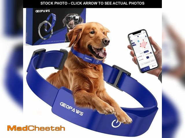 Lot 74-14059917 - GPS Electric Dog Fence with Free App, Wireless Fence System with Training Collar, Adjustable of Dogs...