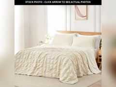 Lot 74-12113203 - undefined