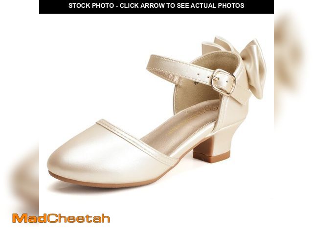 Lot 74-13628676 - PANDANINJIA Girls Heels Sandals Toddler Flower Girl Dress Shoes Princess Mary Jane Pumps Low Heel We...