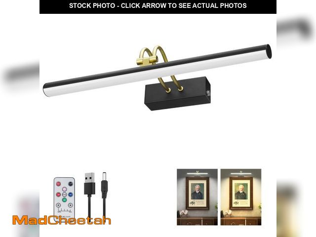 Lot 74-12120061 - RAIFOOLLY Picture Light,16in Wireless Battery Wall Lighting,Remote Art Lights for Paintings with Tim...