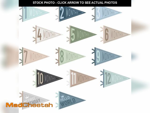 Lot 74-14433454 - VitalCozy 14 Pcs Baby Milestone Pennant Signs Monthly Milestone Banner Flags Pennant Triangle Banner...
