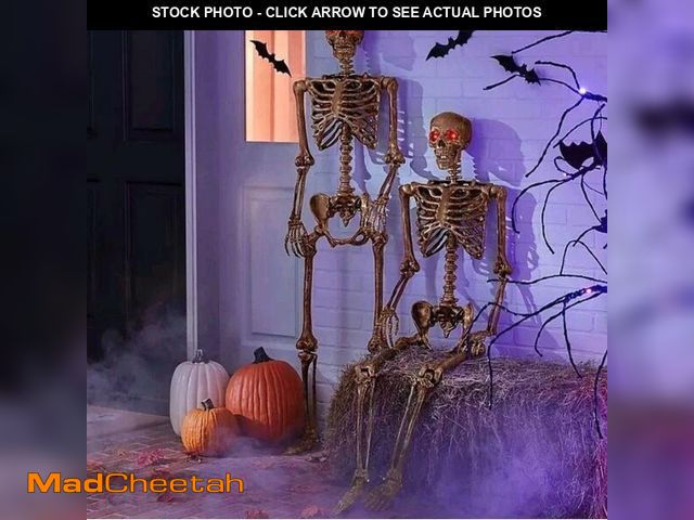 Lot 74-12788873 - Member's Mark Interactive Talking Skeletons with LED Light-Up Eyes, Set of 2 - UNUSED