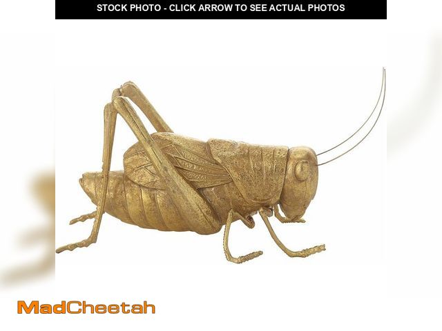 Lot 74-13331338 - Creative Co-Op Gold Resin Cricket Figurine - UNUSED