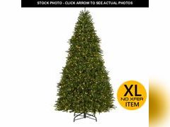 Lot 74-13118223 - undefined