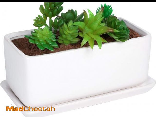 Lot 74-12125004 - Liry Products 10 inch Rectangular White Ceramic Planter Pot Succulent Cactus Herb Flower Container W...