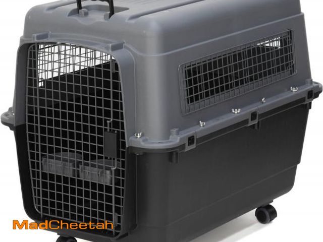 Lot 74-12399338 - SportPet Designs Plastic Airline Approved Kennels Wire Door Travel Dog Crate, X-Large - UNUSED
