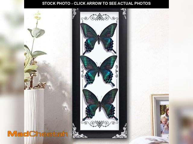 Lot 74-12712013 - Framed 3 Real Butterfly Gothic Decor, 15.2"X6.5" Taxidermy Butterfly Shadow Box Wall Decor, Framed B...