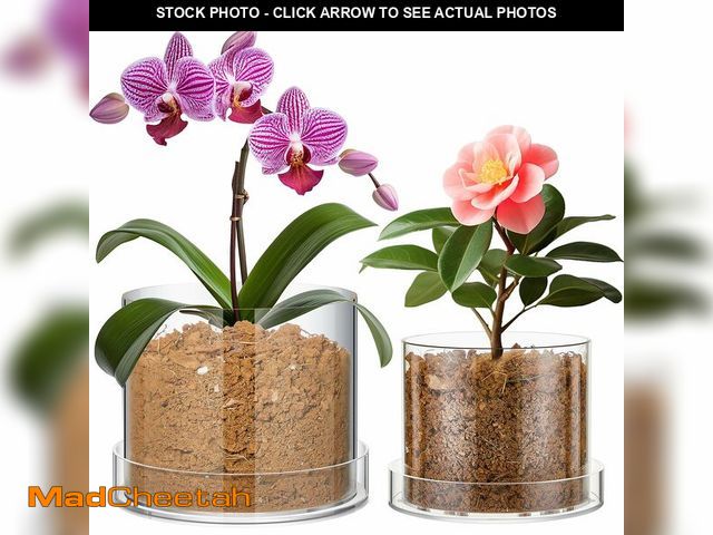 Lot 74-13954751 - Sunnychicc 2 Pcs 6 Inch 8 Inch Clear Plant Pots Acrylic Nursery Orchid Pots with Drainage Holes and ...