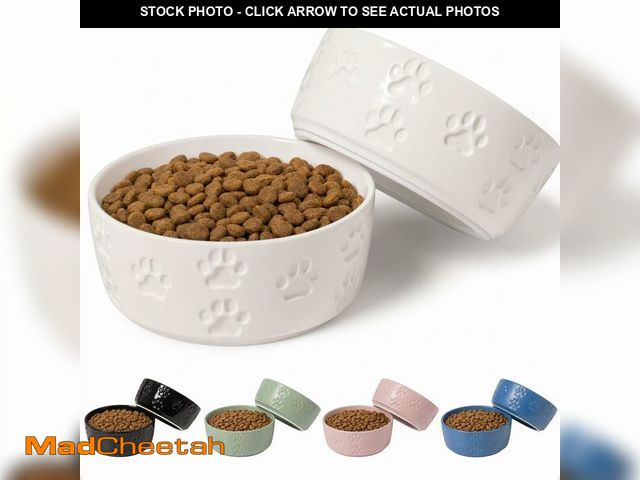 Lot 74-14424606 - Ceramic Dog Bowl Set of 2 with Anti-Skid Base, 5.5"W x 2"H, 2 Cup Capacity - USED