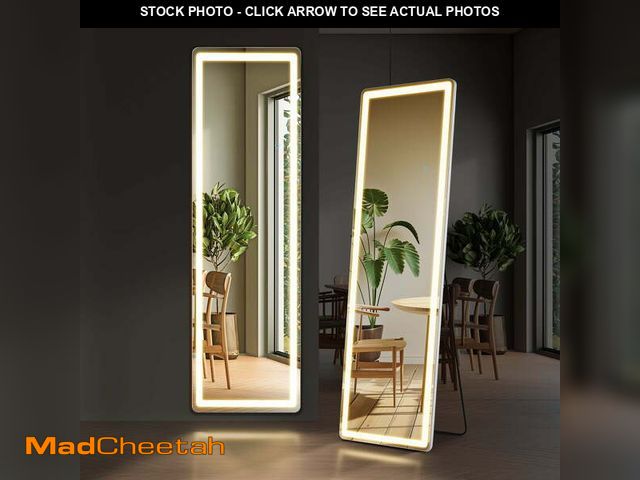 Lot 74-12800122 - EDX LED 3 Color Lighting Full Body Mirror 60"x 16" Rectangle Floor Mirror with Lights Wall Mounted F...