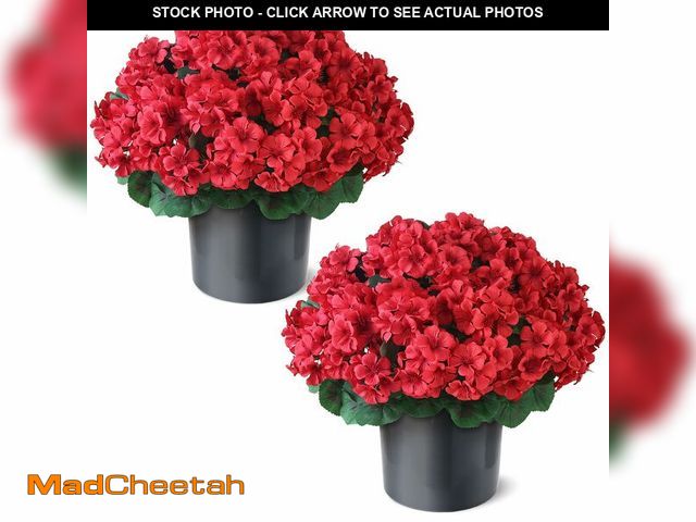 Lot 74-14329941 - 2 Set 17"Artificial Geraniums Flower Topiary for Front Porch Decor(Red) - UNUSED
