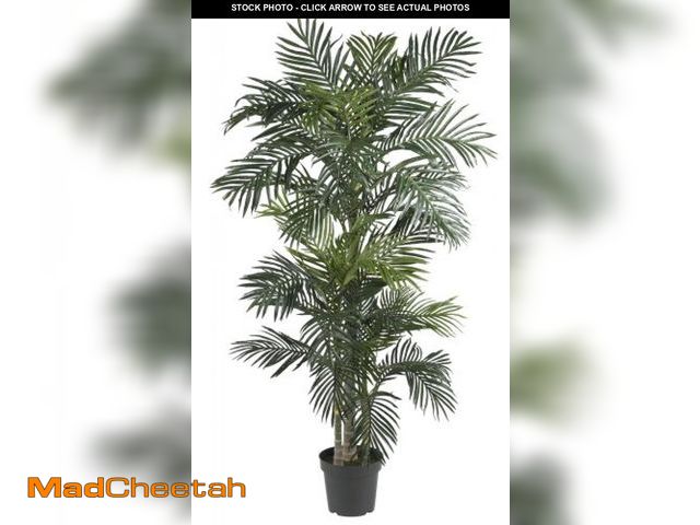 Lot 74-12399219 - Nearly Natural 6.5ft (78ÃÂ¢Ã¢âÂ¬ÃÂ³) Golden Cane Artificial Palm Tree - Lifelike Indoor Silk Pal...