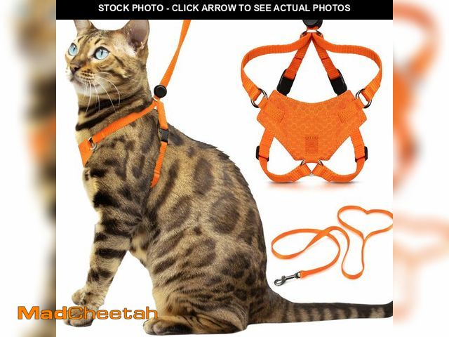 Lot 74-12437330 - HoudiniÃ¢âÂ¢ Escape Proof Cat Harness and Leash Set by OutdoorBengal Ã¢â¬â Orange, Medium Cat H...
