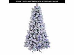 Lot 74-12685882 - undefined