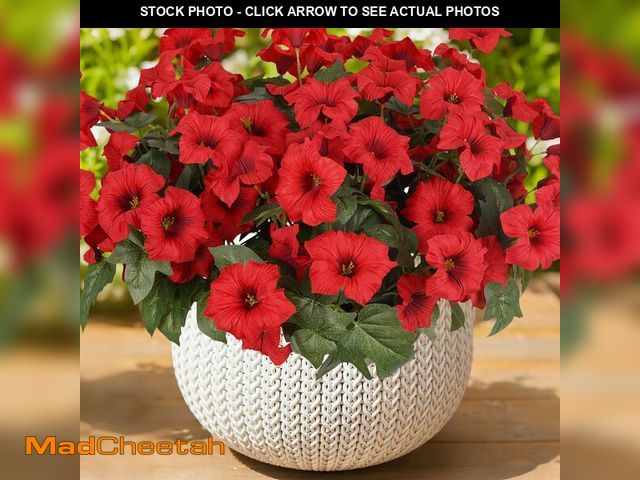 Lot 74-14152824 - SIECCY Artificial Flowers for Outdoors, Faux Petunias Spring Summer Decoration, Fake Flowers Plants ...