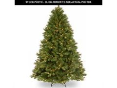 Lot 74-13041579 - undefined