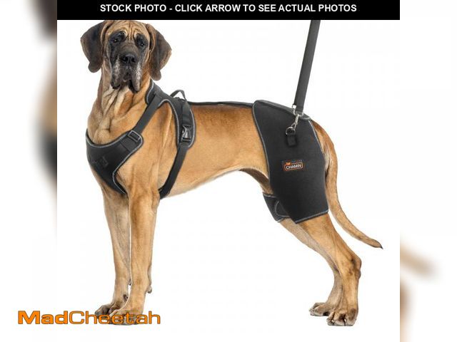 Lot 74-12177850 - CHAMIN Dog Hip Brace with Back Handheld Design, Support for Hip Dysplasia, Arthritis, Back Leg limpi...