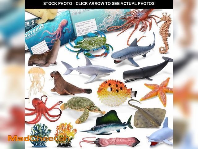 Lot 74-14293529 - 20 Pcs Ocean Animal Toy with Educational Booklet, Plastic Sea Animal with Gift Box, Mini Sea Creatur...