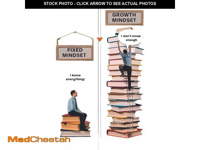 Lot 74-13636569 - (BENT) Fixed Mindset I Know Everything Growth Mindset I Dont Know Enough Life Quote Wall Decal Wall ...