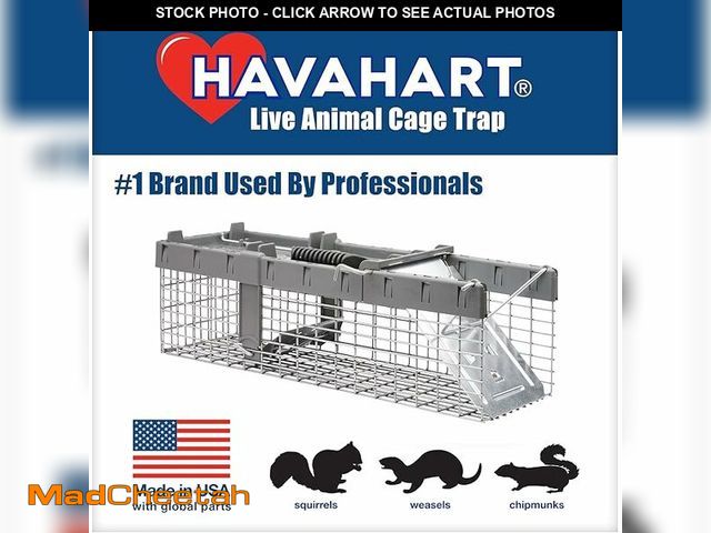 Lot 74-12558692 - Havahart Small 1-Door Humane Live Catch and Release Animal Trap for Squirrels, Weasels, Chipmunks, a...