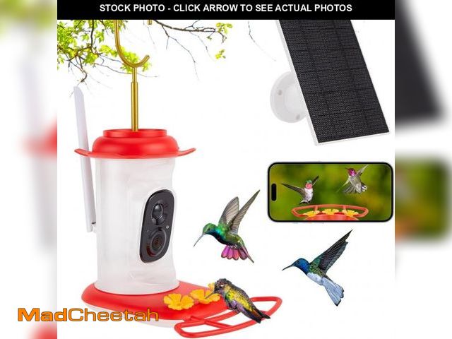 Lot 74-11909715 - Smart Hummingbird Feeder with 2K HD Camera Auto Capture/Notify &amp;AI Identify Bird Species, Bird W...