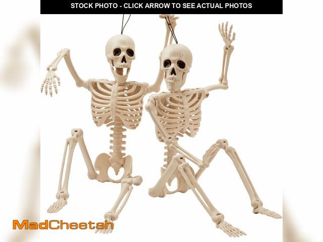 Lot 74-12713465 - JOYIN 2 PCS 24Ã¢â¬Â Halloween Skeleton Decor, 2 FT Full Body Stayable Posable Skeletons for Hallow...